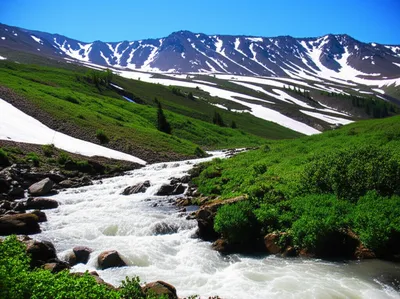 Illustration melts - Image 1