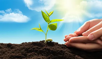 Illustration boost - Image 1