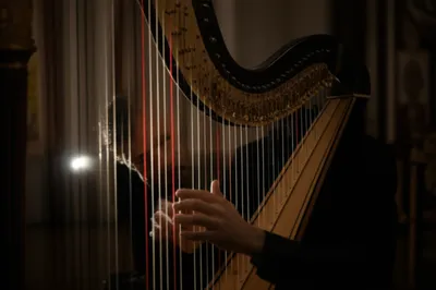 Illustration stringer - Image 1