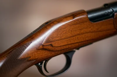 Illustration timbers - Image 1