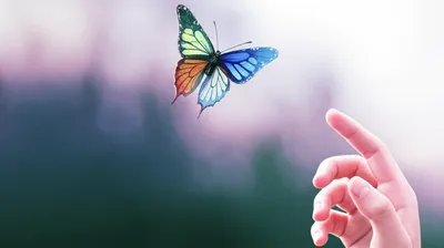 Illustration realizing - Image 1