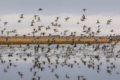 Illustration trips - Image 1