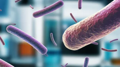 Illustration rods - Image 1