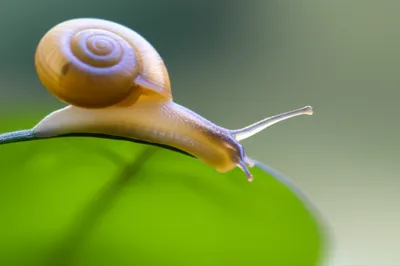 Illustration edge - Image 1