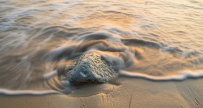 Illustration lick - Image 1