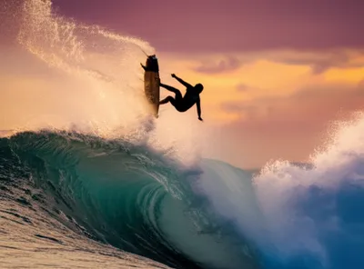 Illustration hotdogs - Image 1