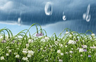 Illustration raining - Image 1