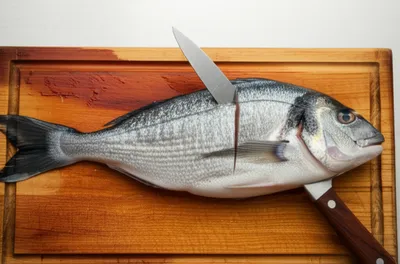 Illustration head - Image 1