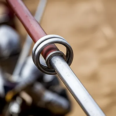 Illustration burs - Image 1