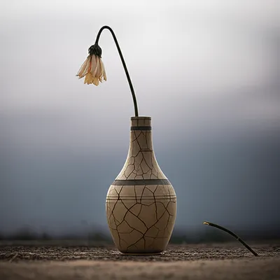 Illustration miscarrying