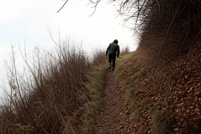 Illustration declined - Image 1