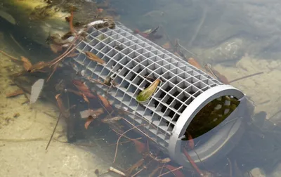 Hình ảnh minh họa strainer - Ảnh 1