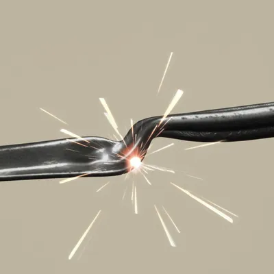 Illustration bucks - Image 1