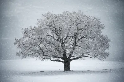 Illustration rigor - Image 1