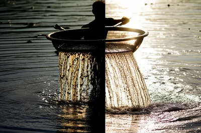 Illustration fines - Image 1