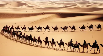 Illustration caravan