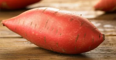 Illustration yams - Image 1