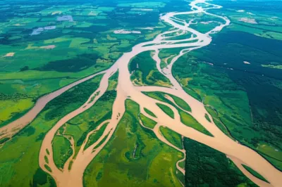 Illustration distributary