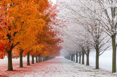 Illustration snaps - Image 1