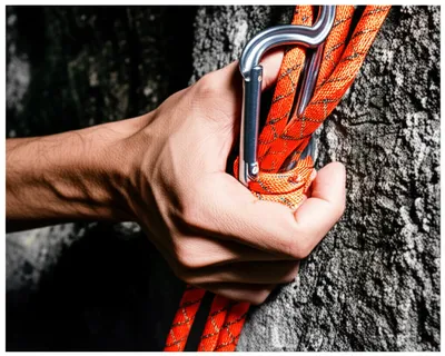 Illustration brace - Image 1