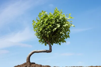 Illustration curbing - Image 1