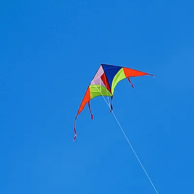 Illustration rhomboid - Image 1