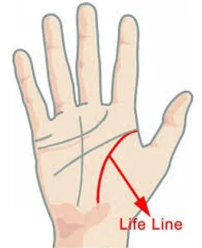 Illustration lifeline - Image 2