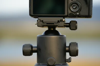 Illustration bushes - Image 1