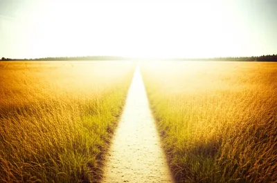 Illustration clearer - Image 1