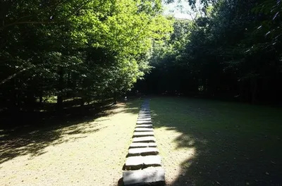 Illustration posits - Image 1