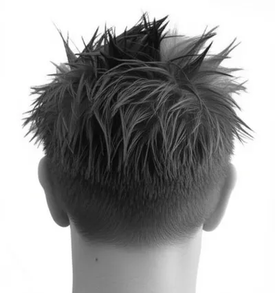 Illustration barbed - Image 1