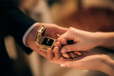 Illustration contracted - Image 1