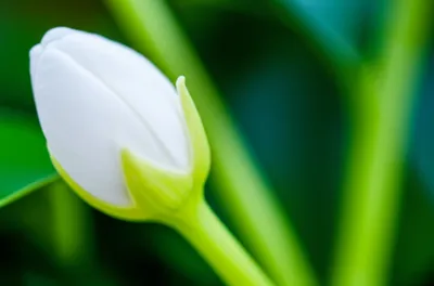 Illustration abortions - Image 1