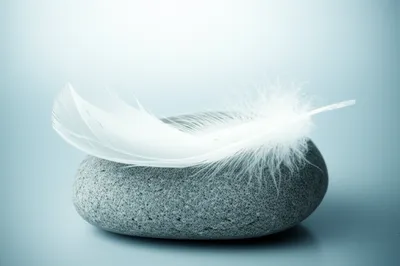 Illustration whit - Image 1