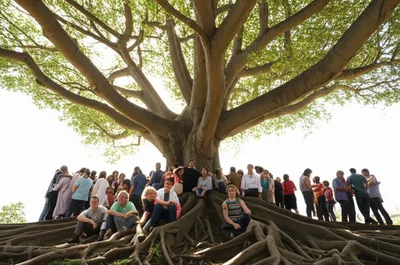 Illustration kindred - Image 1