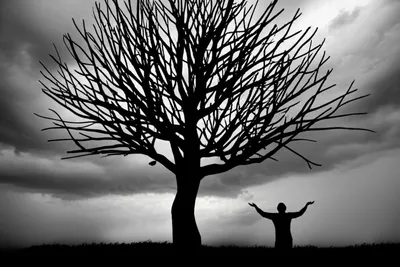 Illustration divesting