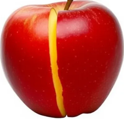 Illustration cleft - Image 1