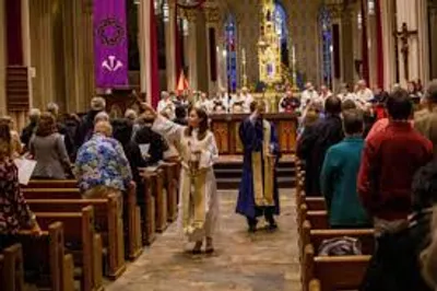 Illustration common - Image 2