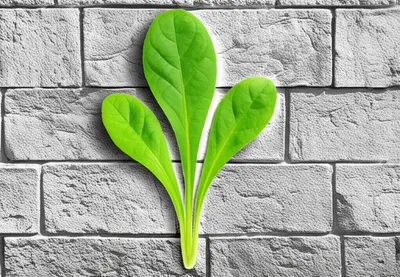 Illustration dislocate - Image 1