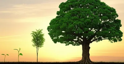 Illustration aging - Image 1