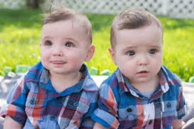 Illustration twin - Image 2