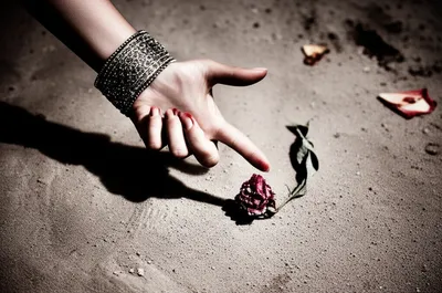 Illustration despises