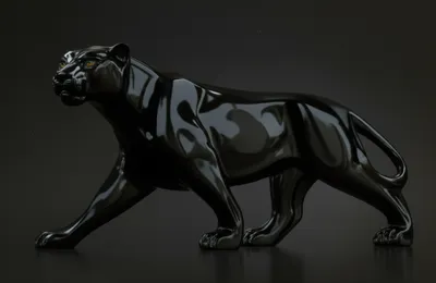 Illustration ebony - Image 1