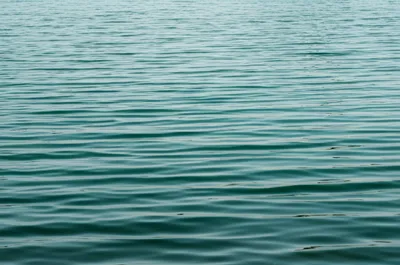 Illustration crisping - Image 1