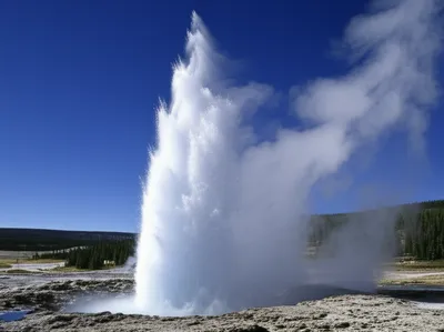 Illustration gushing - Image 1