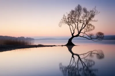 Illustration equable - Image 1