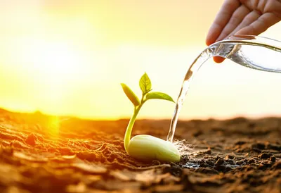 Illustration till - Image 1