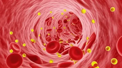 Illustration cholesterol - Image 1