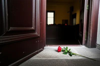 Illustration untried - Image 1