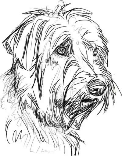 Illustration ruff - Image 1